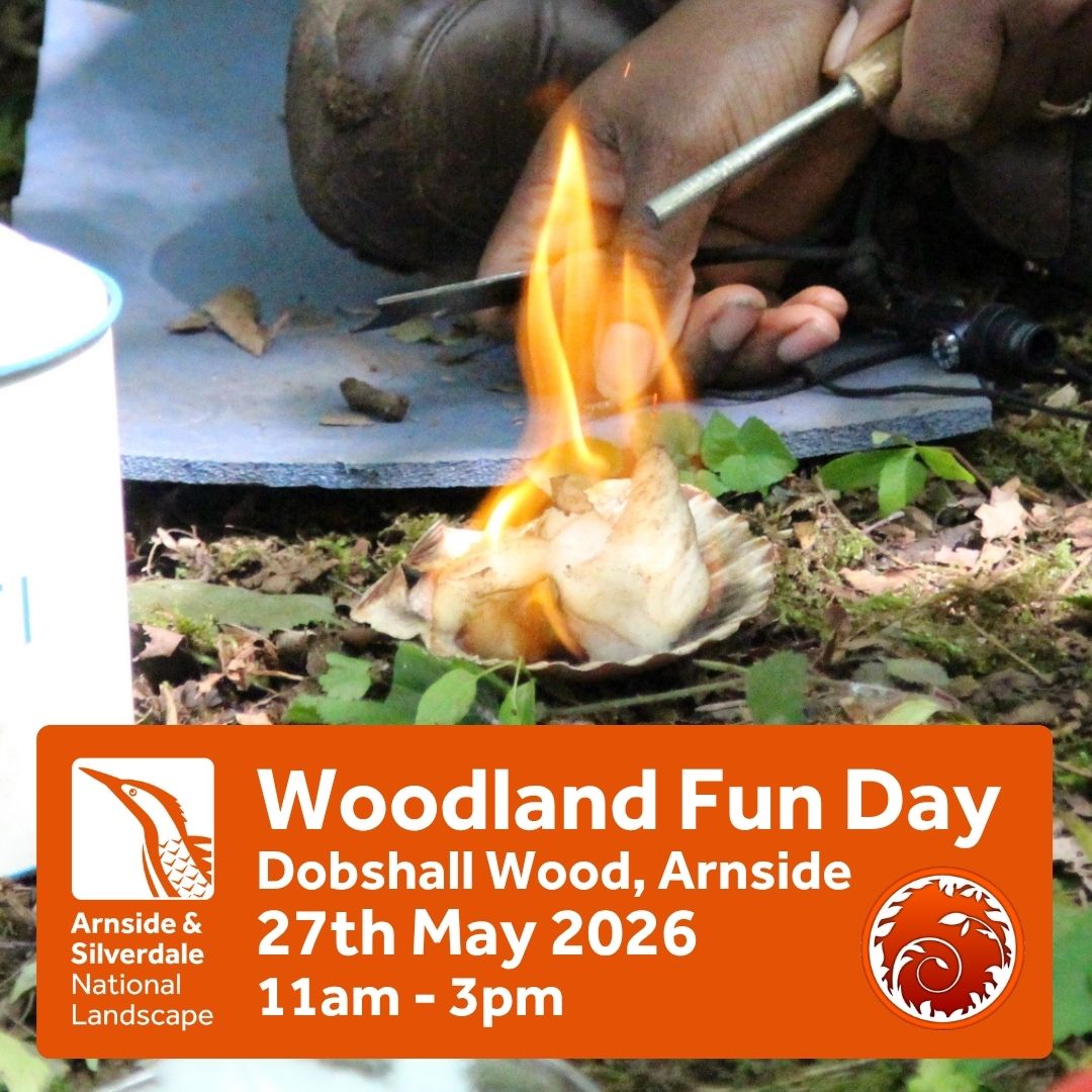 Woodland Fun Day May 26