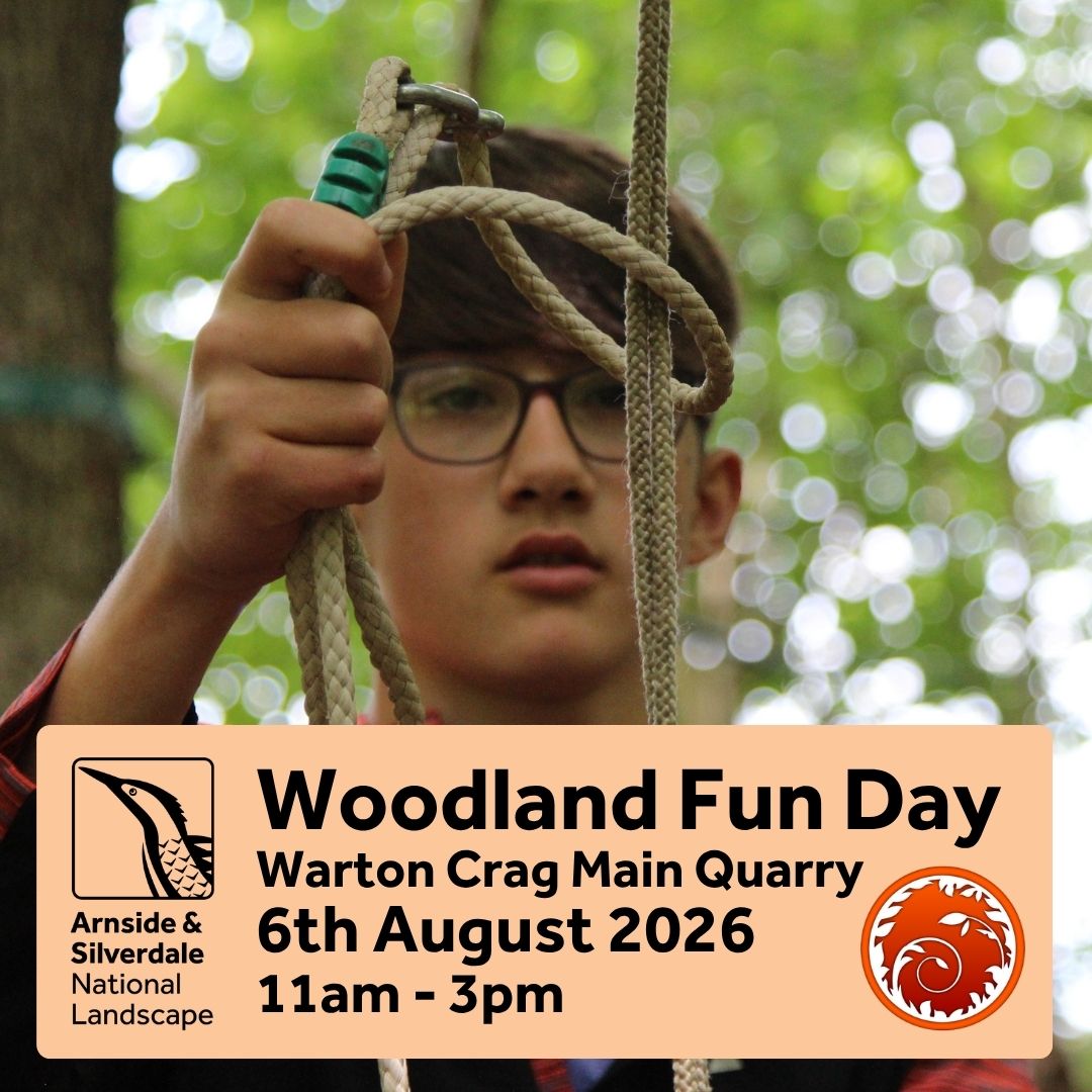 Woodland Fun Day Poster