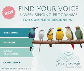 Find Your Voice Poster
