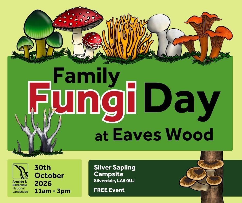 Free Family Fungi Day